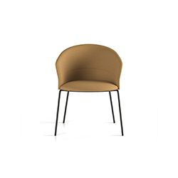 Copa 餐椅/洽谈椅 Copa Dining chair